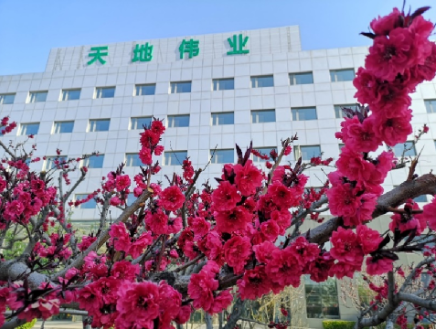 凯时KB88·(中国区)官方网站