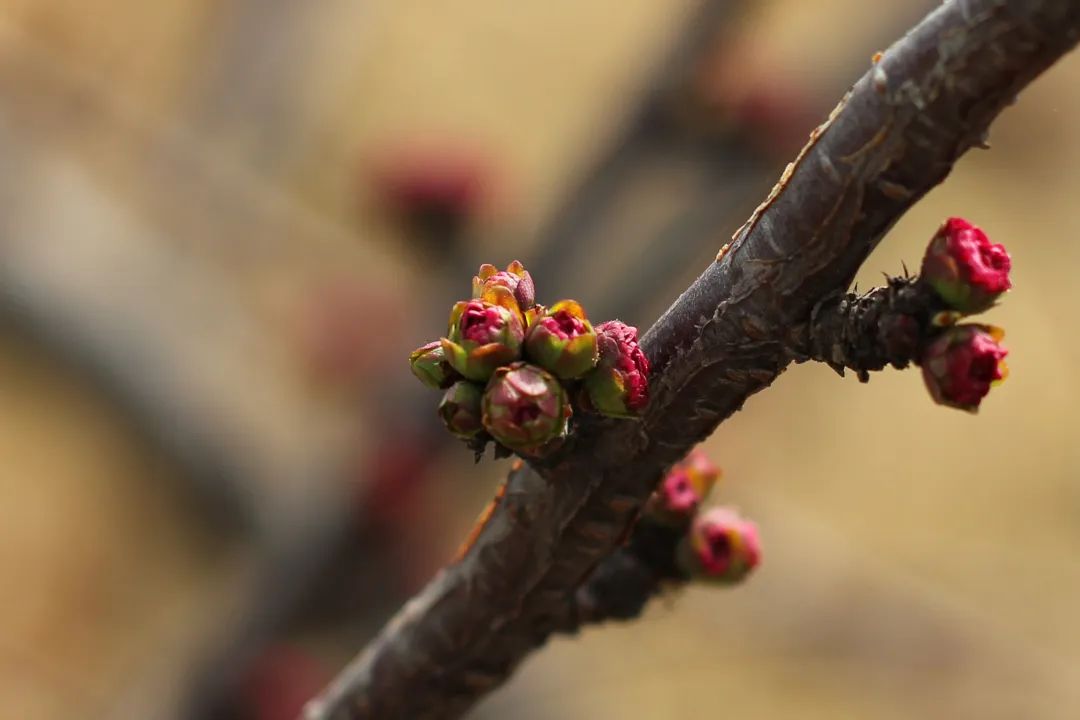凯时KB88·(中国区)官方网站