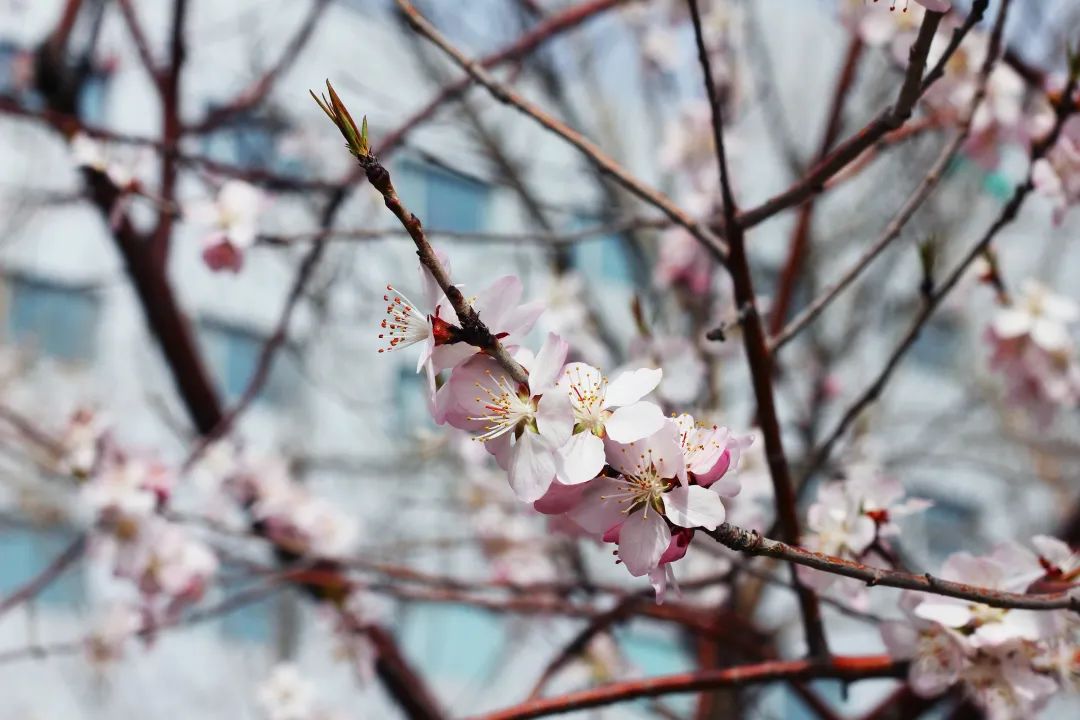 凯时KB88·(中国区)官方网站