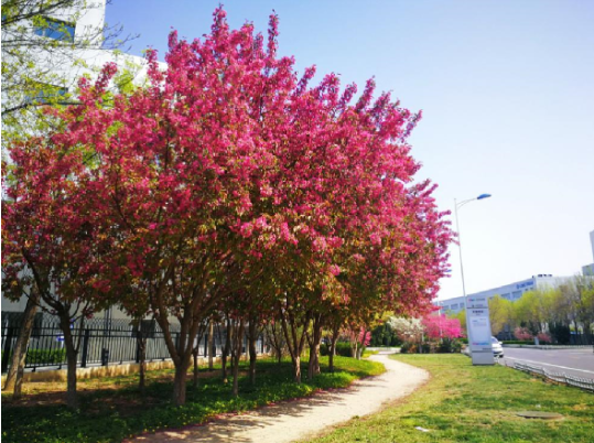 凯时KB88·(中国区)官方网站