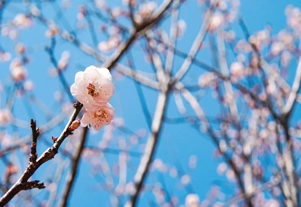 凯时KB88·(中国区)官方网站